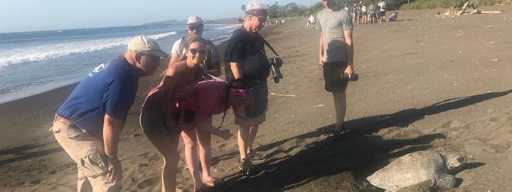 Professor Frank Paladino and students study sea turtle on the beach in Costa Rica.